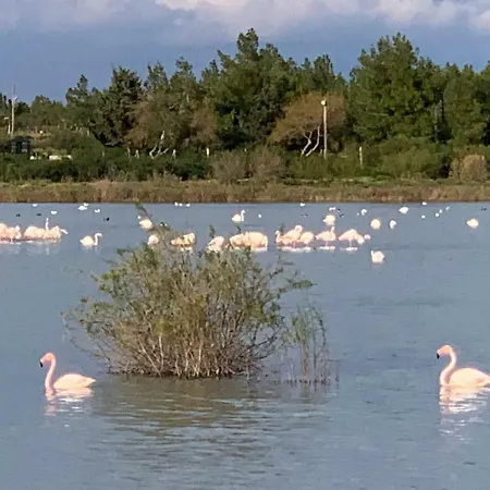 Flamingo Lux Apartamento Famagusta (Northern Cyprus)