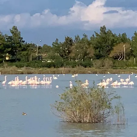 Flamingo Lux דירה *