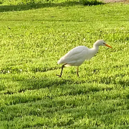 Apartamento Flamingo Lux Famagusta (Northern Cyprus)