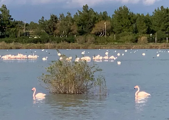 Flamingo Lux Apartamento Famagusta (Northern Cyprus)