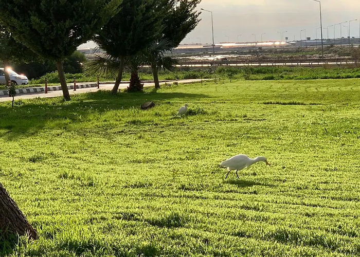 Flamingo Lux * Αμμόχωστος